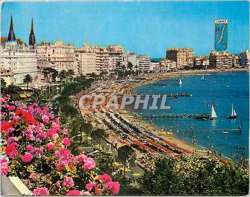 Cartes postales moderne Cannes Cote d'Azur French Riviera La Croisette et les Plages