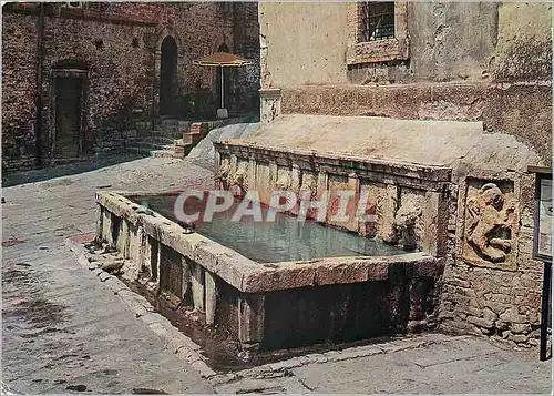 Cartes postales moderne Assisi Fontaine des Lions en Place St Rufin