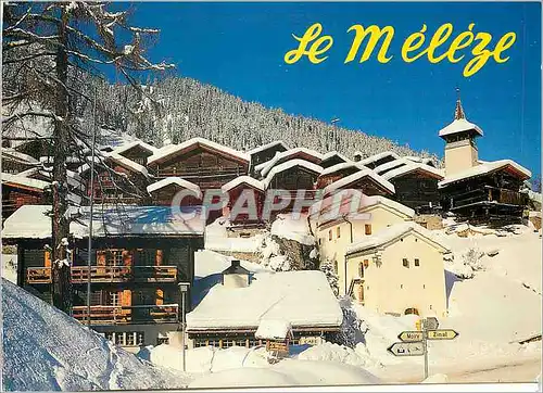 Cartes postales moderne Le Meleze