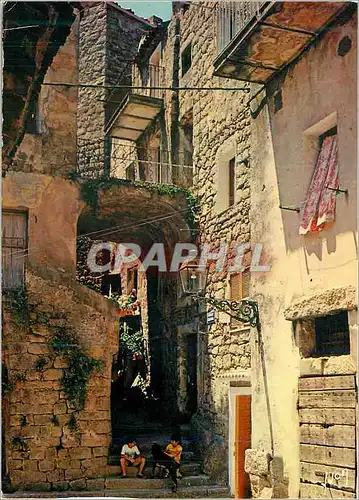 Cartes postales moderne Sartene La Corse Oasis de Beaute Couleurs et Lumiere de France
