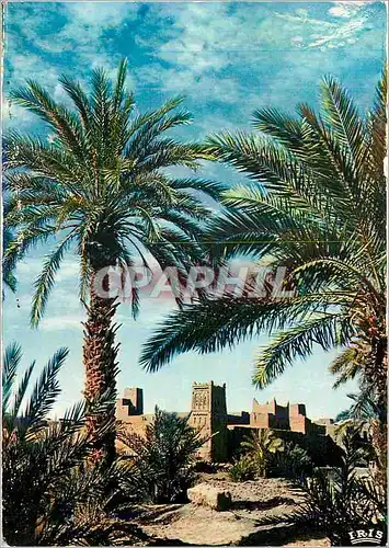Cartes postales moderne Sud Marocain Region de Ouarzazate Ksour dans la Vallee du Draa