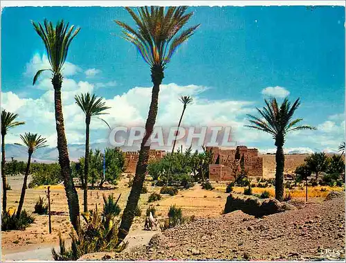 Cartes postales moderne Sud Marocain Region de Ouarzazate Un Oasis