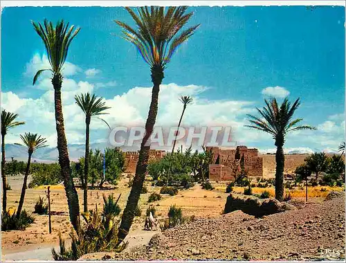 Moderne Karte Sud Marocain Region de Ouarzazate Un Oasis