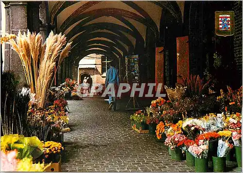 Cartes postales moderne Brugge Oude Burg
