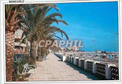 Cartes postales moderne Benicarlo (Castellon) Avenue Maritime
