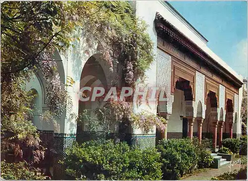 Cartes postales moderne Institut Musulman Mosque de Paris Cour d'Honneur Couleurs et Lumiere de France