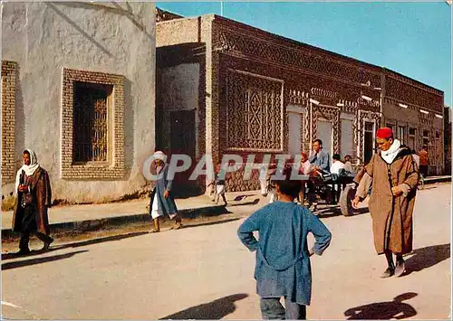 Cartes postales moderne Tunisie Tozeur Maisons Typiques a Decor de Briques Ane Donkey