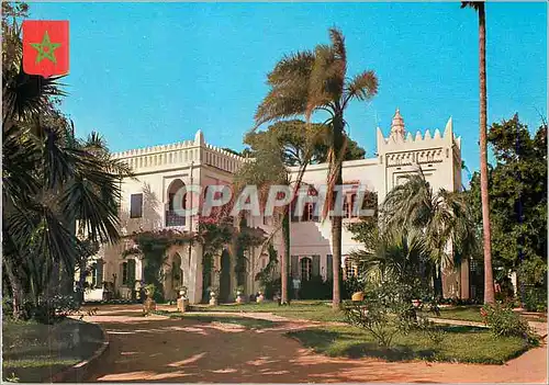 Cartes postales moderne Tanger
