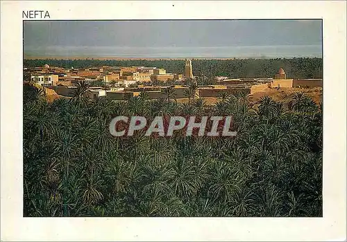 Cartes postales moderne Nefta Dans une Mer de Palmiers La Ville