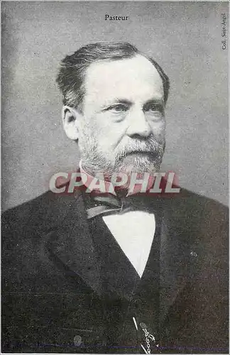 REPRO Pasteur