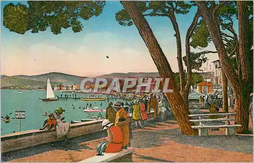 Cartes postales Juan les Pins La Plage et la Pinede