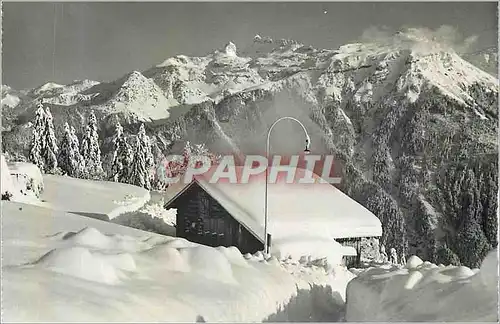 Cartes postales moderne Braunwald Glarus 1300 m Blick Gegen Karpfstock 2797 m