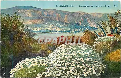 Cartes postales Beaulieu Panorama vu entre les Fleurs