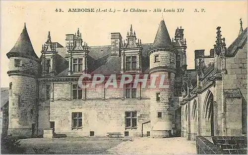 Ansichtskarte AK Amboise (I et L) Le Chateau Aile Louis XII