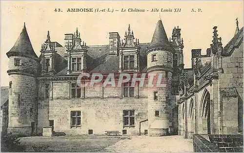 Cartes postales Amboise (I et L) Le Chateau Aile Louis XII