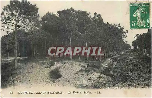 Cartes postales Brighton Francais Cayeux La Foret de Sapins