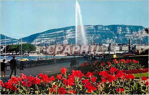Cartes postales moderne Geneve Le Quai Wilson et le Jet d'Eau