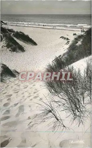 Cartes postales moderne Merlimont (Pas de Calais) Les Dunes et la Plage