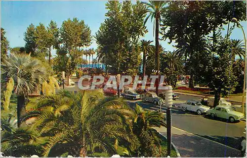 Cartes postales moderne Cannes (A M) Reflets de la Cote d'Azur La Croisette et les Jardins