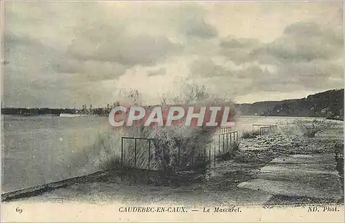 Cartes postales Caudebac en Caux Le marcaret