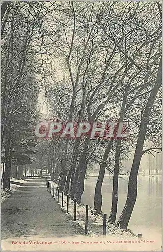 Ansichtskarte AK Bois de Vincennes Lac Daurnesnil Vue Artistique D'Hiver