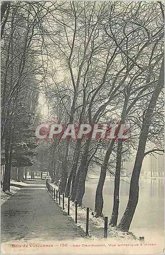Cartes postales Bois de Vincennes Lac Daurnesnil Vue Artistique D'Hiver