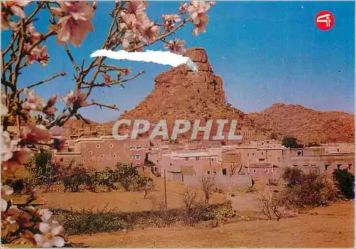 Cartes postales moderne Tafraout Maroc Vue Panoramique