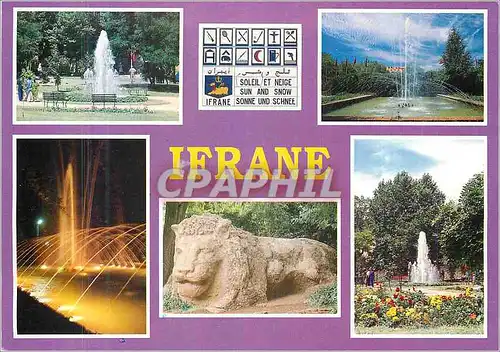 Cartes postales moderne Ifrane
