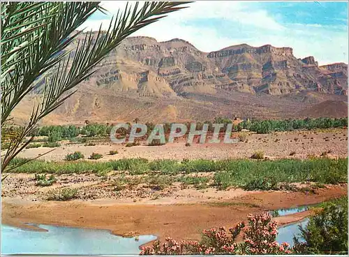 Cartes postales moderne Maroc Pittoresque Vallee du Draa