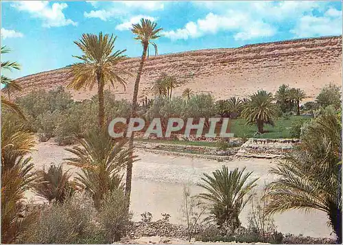 Cartes postales moderne La Vallee Ziz