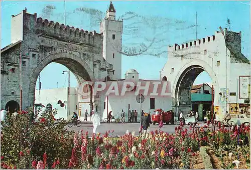 Cartes postales moderne Tunis Bab El Khadhra