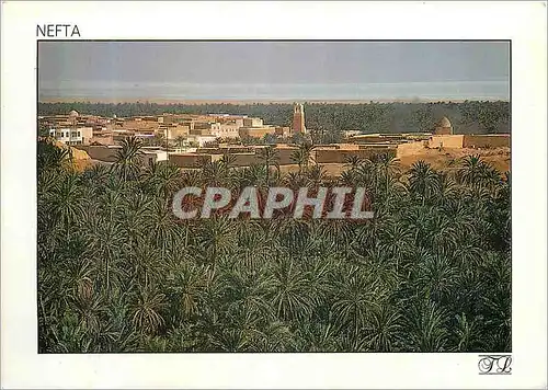 Cartes postales moderne Nefta dans une Mer de Palmiers La Ville