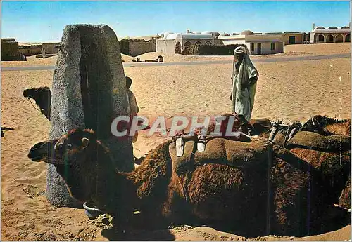 Moderne Karte Algerie Le Sud Fascinant Chameaux