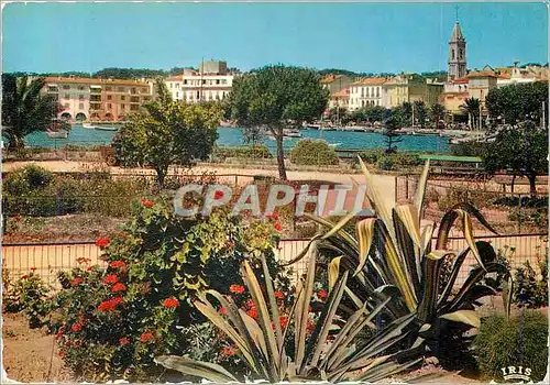 Cartes postales moderne Sanary sur Mer (Varr) Reflets de Provence Les Jardins et le Port