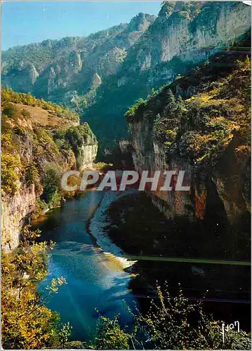 Cartes postales moderne Gorges du Tarn (Lozere) Couleurs et Lumiere de France Le Tarn aux Detroits
