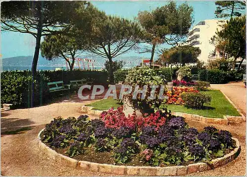 Moderne Karte Juan les Pins et ses Jardins Fleuris Cote d'Azur