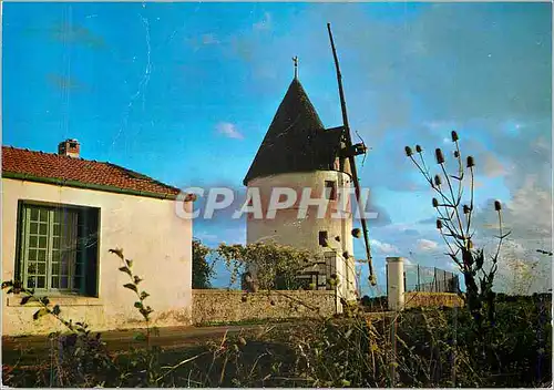 Cartes postales moderne Ile d'Oleron (Ch Mme) le Moulin Tic Tac de la Bree Cote de Lumiere