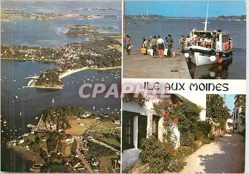 Moderne Karte Ile aux Moines (Morbihan) la Bretagne en Couleurs Bateau