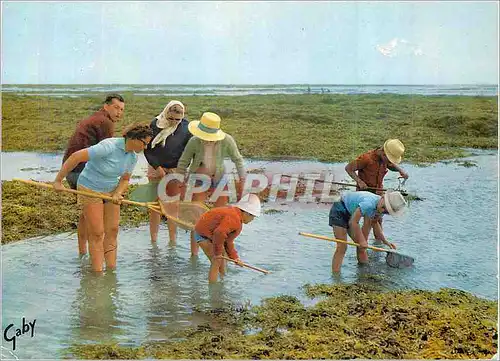 Ansichtskarte AK Partie de Peche