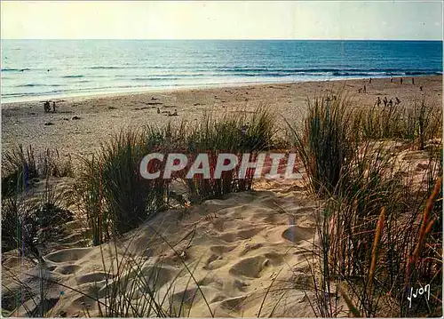 Cartes postales Couleurs et Lumiere de France Les Dunes au Bord de L'Ocean