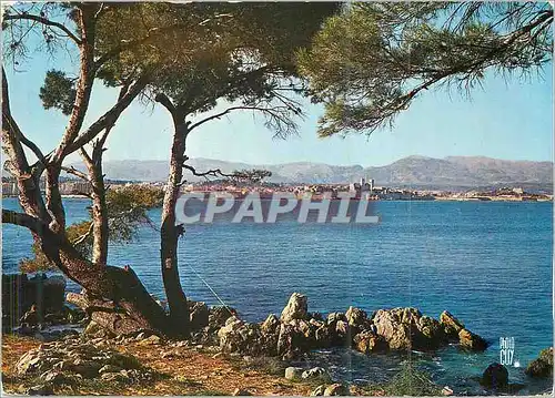 Cartes postales Antibes Cote d'Azur vu du Cap