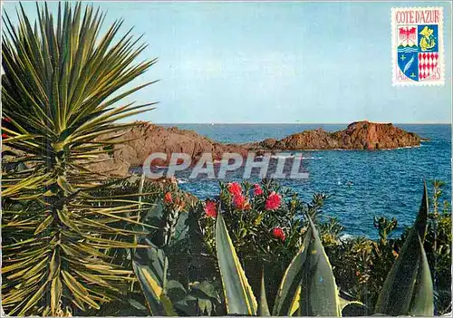 Cartes postales moderne Cote d'Azur Carrefour Mondial du Tourisme Flore Exotique dans L'Esterel au Loin Les Recifs de Po