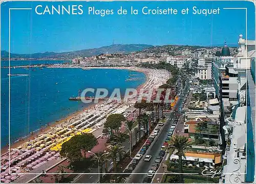 Cartes postales moderne Cannes (A M) La Cote d'Azur Plages de la Croisette et Suquet