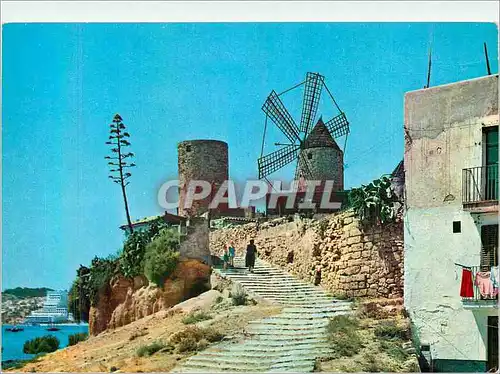 Cartes postales moderne Mallorca (Baleares) Espana Palma Molinos del Jonquet Moulin