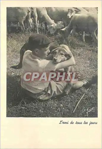 Cartes postales moderne L'Ami de tous les Jours Enfant Chien Moutons