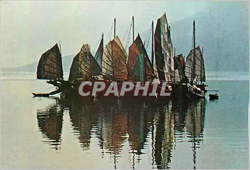 Cartes postales moderne Hong Kong