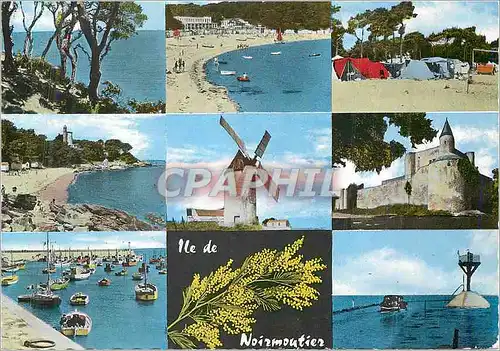 Cartes postales moderne Noirmoutier (Vendee)