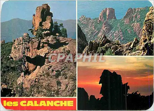 Cartes postales moderne les Calanches de Piana Sculptures Chaotiques