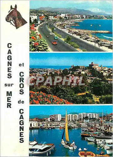 Cartes postales moderne Cagnes sur Mer et Cros de Cagnes Cote d'Azur Cheval
