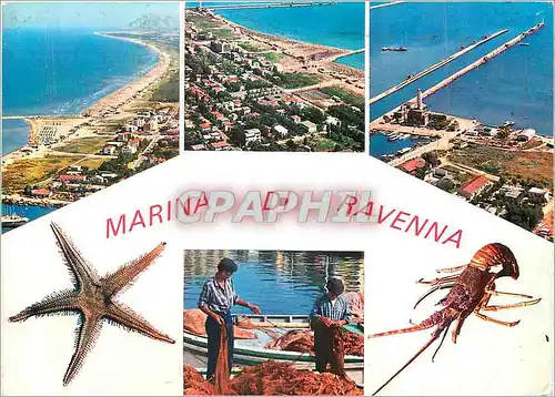 Moderne Karte Marina Ravenna Panorama Bacino e Porto Canale Pescatori